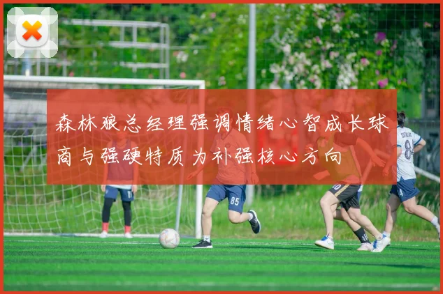 森林狼总经理强调情绪心智成长球商与强硬特质为补强核心方向