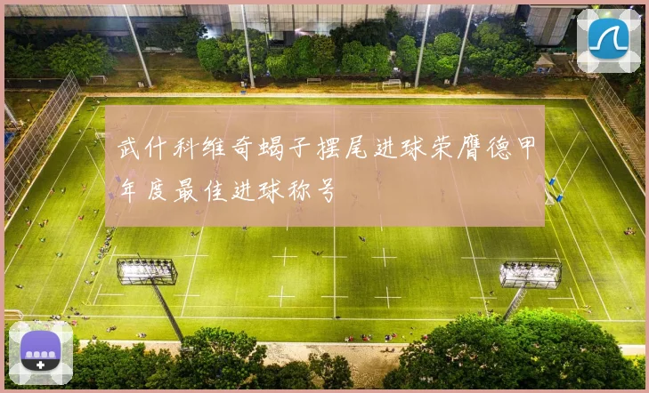 武什科维奇蝎子摆尾进球荣膺德甲年度最佳进球称号